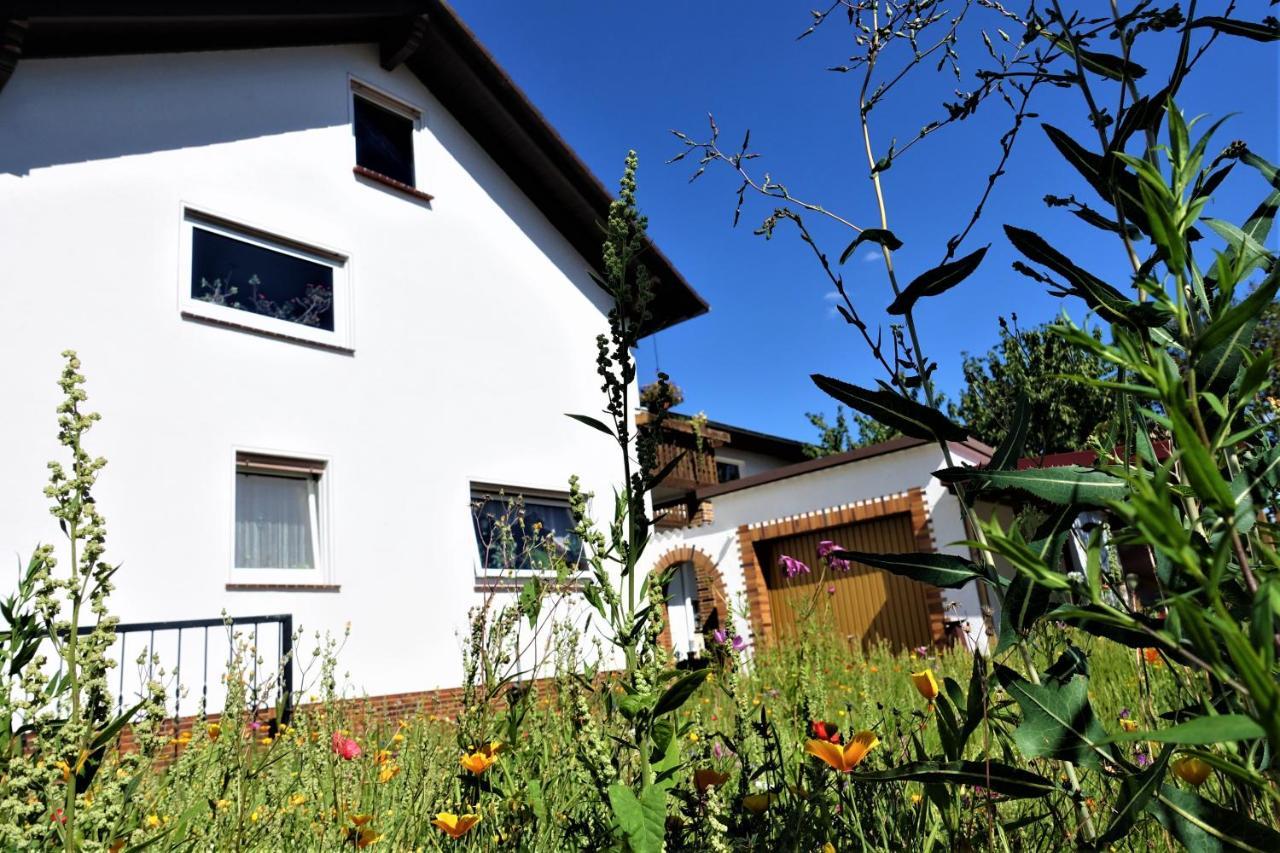 Ferienwohnung-M8 Im Schoenen Werratal Jestadt Exteriör bild